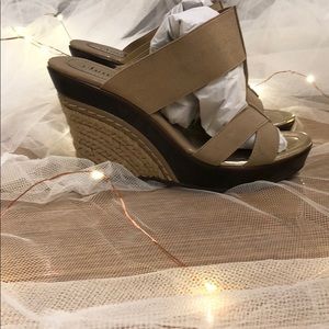 Charles By Charles David Wedge ( Good Condition )